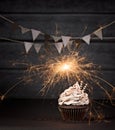 Birthday Sparkler Cupcake Royalty Free Stock Photo