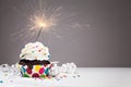 Birthday Sparkler Cupcake Royalty Free Stock Photo