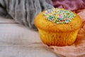 Birthday vanilla cupcake with sugar sprinkles Royalty Free Stock Photo