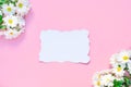 Birthday or wedding mockup with white Chrysanthemums flowers and white empty paper list on pastel pink background Royalty Free Stock Photo