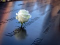 Birthday white rose near name of the victim engraved on bronze parapet of 9/11 Memorial at World Trade Center - New York, USA