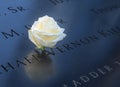 Birthday white rose near name of the victim engraved on bronze parapet of 9/11 Memorial at World Trade Center - New York, USA