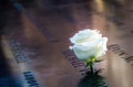 Birthday white rose near name of the victim engraved on bronze parapet of 9/11 Memorial at World Trade Center - New York, USA