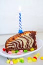 birthday zebra vanilla chocolate cake with chocolate and one blue candle. Royalty Free Stock Photo