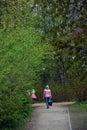 Birulevsky arboretum in Moscow, popular landmark. Color springtime photo.