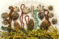 Sprigs of yellow Mimosa with pine cones, sea shells and beads of amber, turquoise and red coral on knitted of white yarn laced na