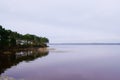 Biscarrosse lake wild coast water in cloudy winter day