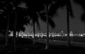 Biscayne Bay bridge with Palm trees at night. Royalty Free Stock Photo