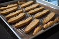 biscotti drying on tray after being baked