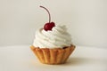 Biscuit basket with white pastry cream and red cocktail cherry on the top turns around its axis Royalty Free Stock Photo