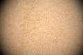 Biscuit beige linoleum background