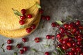 Biscuit cakes with cherry berries on a dark background . Baking,preparation of layers of sponge to assemble the cherry of the cake