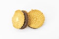 biscuit close up isolated on white background, front view Royalty Free Stock Photo