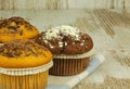 Biscuit and cocoa muffins with a chocolate topping Royalty Free Stock Photo