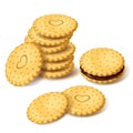 Biscuit cookies or cracker with cream vector
