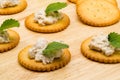 Biscuit crackers with tuna salad Royalty Free Stock Photo