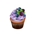 biscuit cupcake with purple topping cream and berries