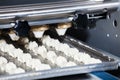Biscuit depositing machine Royalty Free Stock Photo