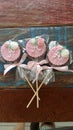 Biscuit lolipops