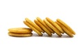 Biscuit sandwich cracker Cheese flavoured ,Cream and butter. Royalty Free Stock Photo