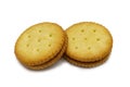 Biscuit sandwich cracker Cheese flavoured ,Cream and butter. Royalty Free Stock Photo