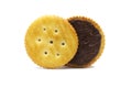 Biscuit sandwich cracker chocolate cream flavoured. Inside and outside of crunchy delicious sweet meal and useful cookies.