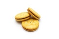 Biscuit sandwich cracker chocolate cream flavoured. Pile of crunchy delicious sweet meal and useful cookies on white background.