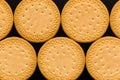 Biscuit Snack Background