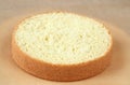 Biscuit Sponge Cake Royalty Free Stock Photo