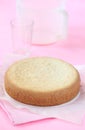 Biscuit Sponge Cake Royalty Free Stock Photo