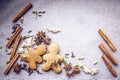 Biscuit star anise Cardamom nutmeg cinnamon ginger clove spice