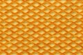 Biscuit texture