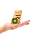 Biscuits with kiwi jam on hand. Royalty Free Stock Photo