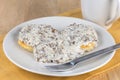 Biscuits and sausage gravy Royalty Free Stock Photo