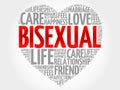 Bisexual concept heart Royalty Free Stock Photo