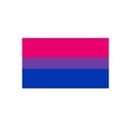 Bisexual flag flat icon, vector illustration Royalty Free Stock Photo