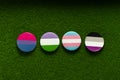 Bisexual, genderqueer, transgender, asexual badges on a green lawn grass