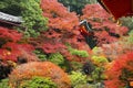 Bishamondo Temple in Red Maple Autumn, Kyoto Royalty Free Stock Photo