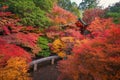 Bishamondo Temple with red maple leaves or fall foliage in autumn season. Colorful trees, Kyoto, Japan. Nature landscape