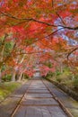 Bishamondo Temple with red maple leaves or fall foliage in autumn season. Colorful trees, Kyoto, Japan. Nature landscape Royalty Free Stock Photo