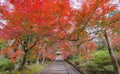 Bishamondo Temple with red maple leaves or fall foliage in autumn season. Colorful trees, Kyoto, Japan. Nature landscape Royalty Free Stock Photo