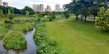 Bishan-AMK park Royalty Free Stock Photo