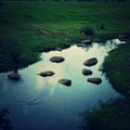 Bishan park Singapore