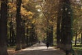 Bishkek boulevard Royalty Free Stock Photo