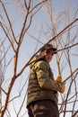 Bishop, California, USA: city employee prunes trees near library