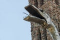 Bishop Castle San Isabel National Forest Colorado Royalty Free Stock Photo