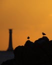 Bishop Rock Sunset,Isles of Scilly