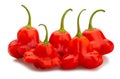 Bishop`s crown pepper