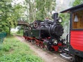 The historic narrow-gauge steam locomotive from ÃÂ»nin to Gasawa leaves the station in Biskupin