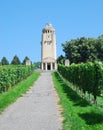 Bismarck Tower in the middle of vineyard. Royalty Free Stock Photo